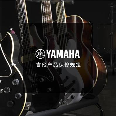 吉他、贝斯和音箱