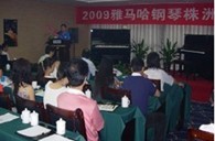株洲、湘潭举办平博钢琴展示会 